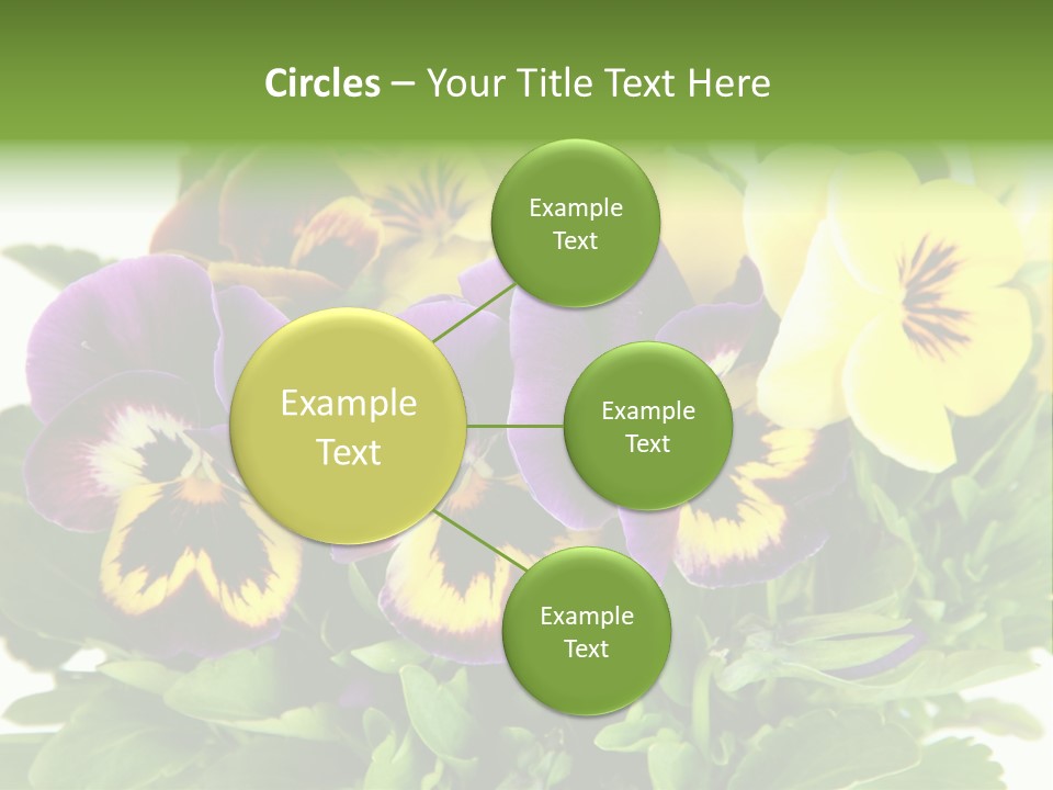 Garden Purple Close PowerPoint Template