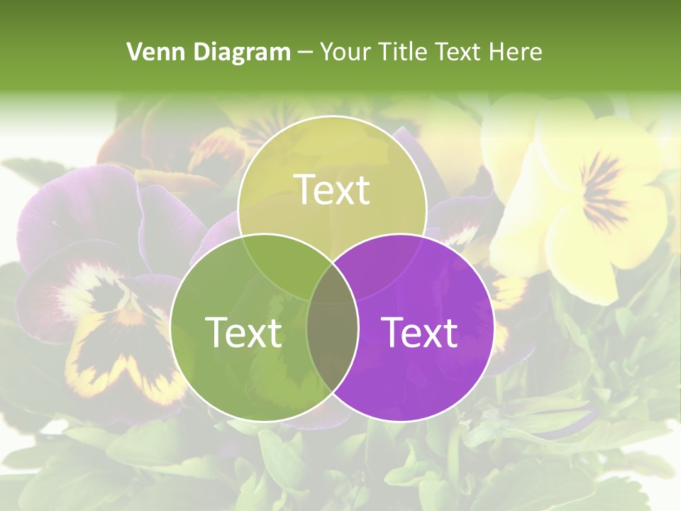 Garden Purple Close PowerPoint Template