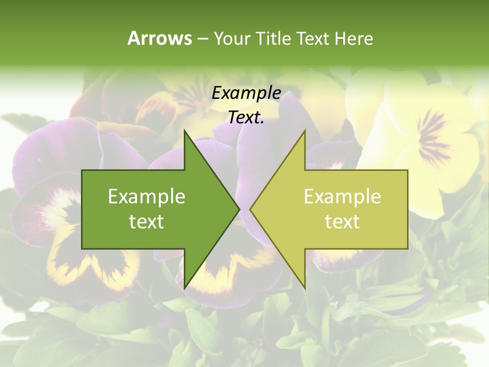 Garden Purple Close PowerPoint Template