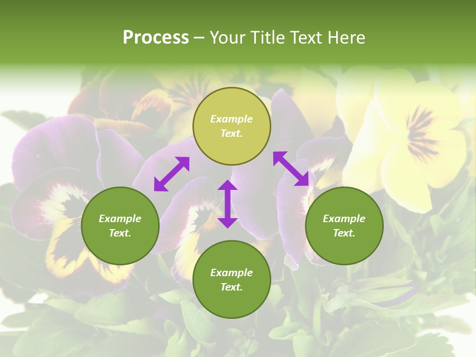Garden Purple Close PowerPoint Template