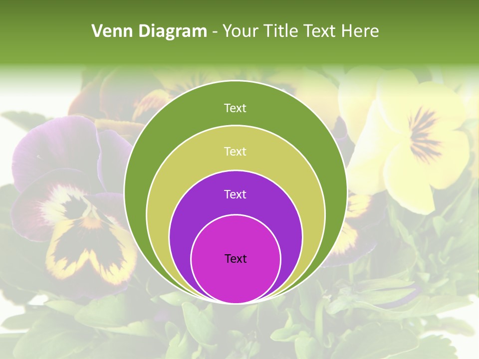 Garden Purple Close PowerPoint Template
