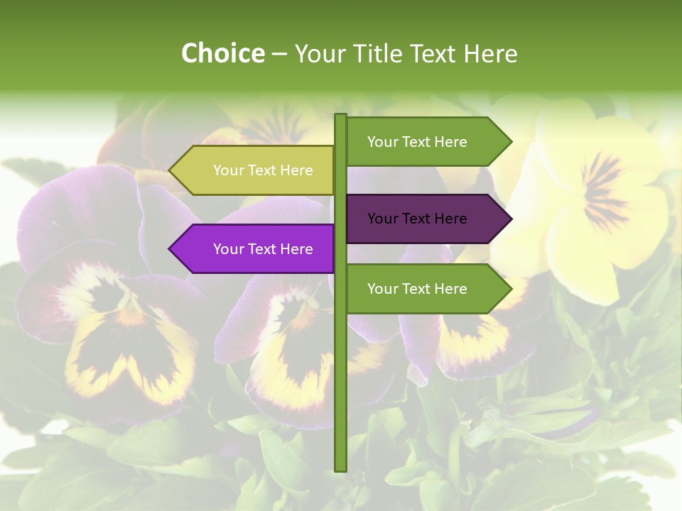 Garden Purple Close PowerPoint Template