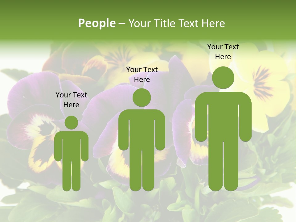 Garden Purple Close PowerPoint Template