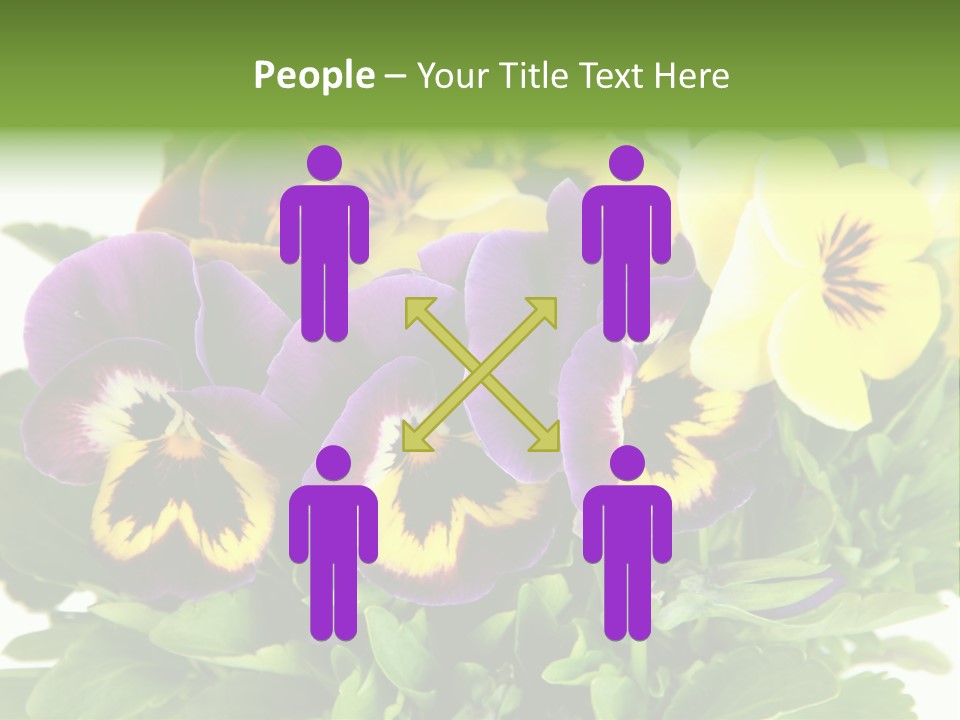 Garden Purple Close PowerPoint Template