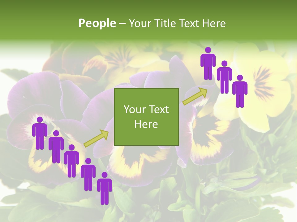 Garden Purple Close PowerPoint Template