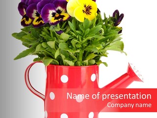 Blossom Background Plant PowerPoint Template