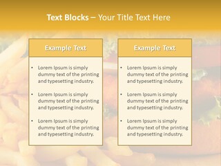 Unhealthy Color Eating PowerPoint Template
