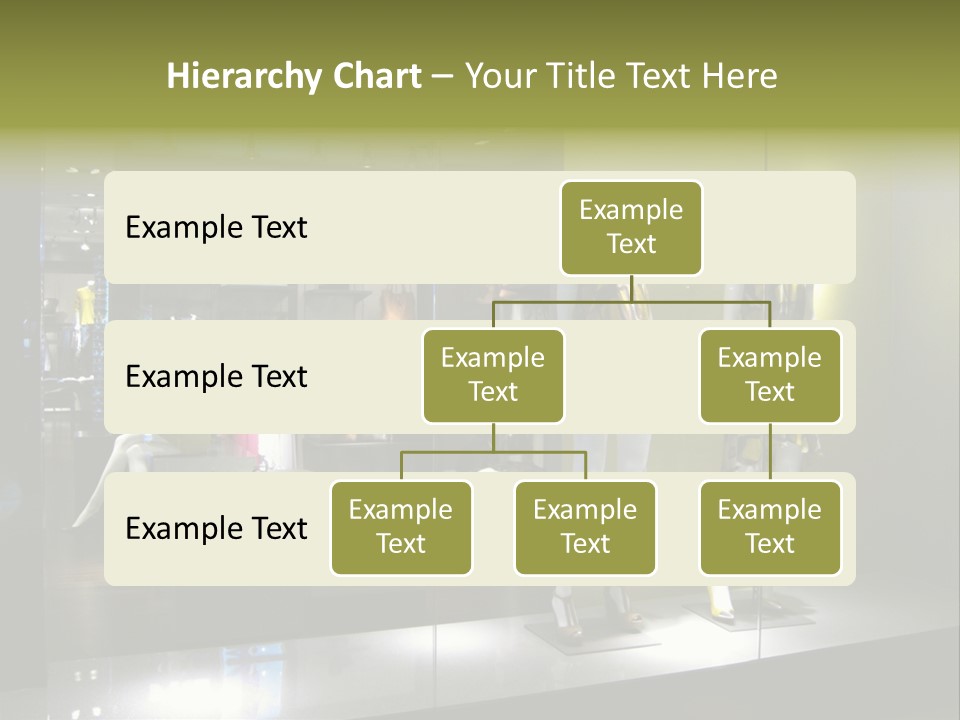 Purse Money Shoes PowerPoint Template