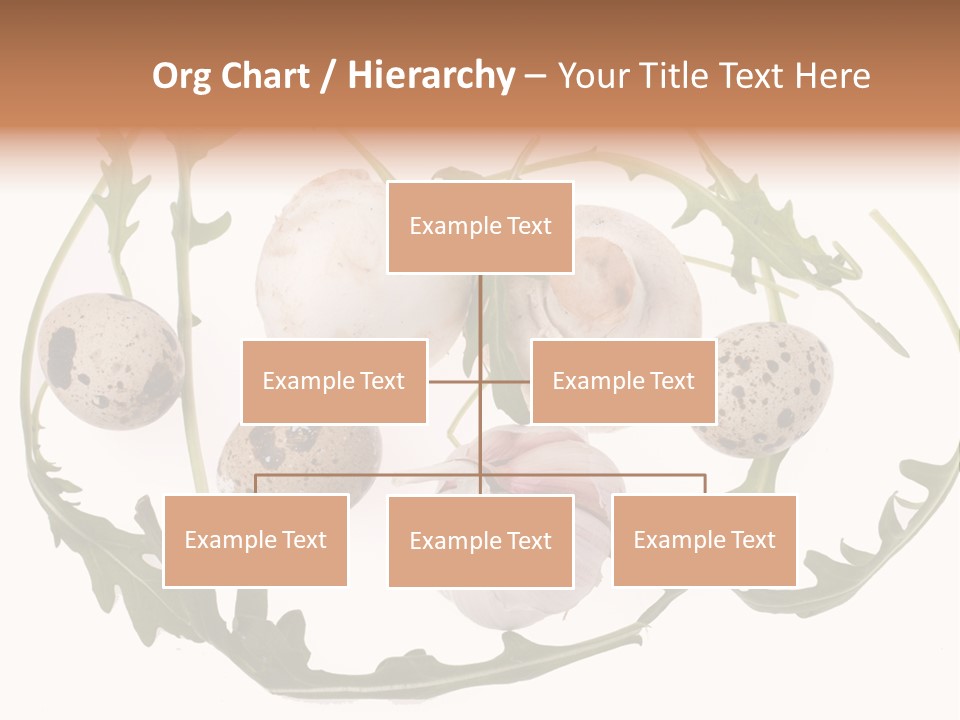 Freshness Part Uncooked PowerPoint Template
