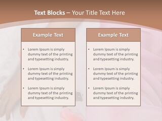 Elegant Kinky Romantic PowerPoint Template