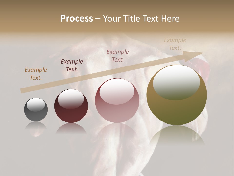 Colori Colore Pittore PowerPoint Template