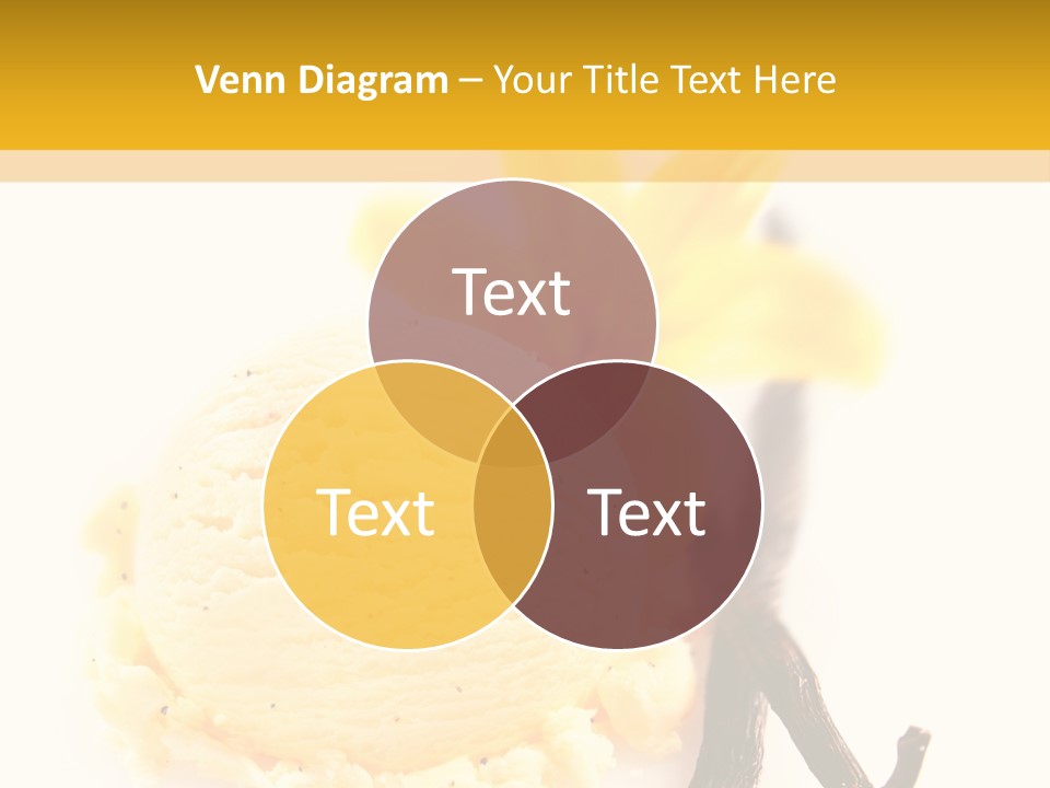 Time Seedpod Summery PowerPoint Template