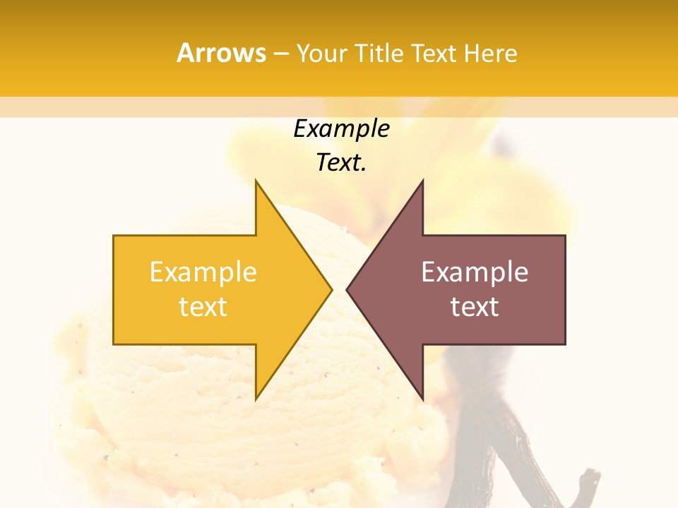 Time Seedpod Summery PowerPoint Template