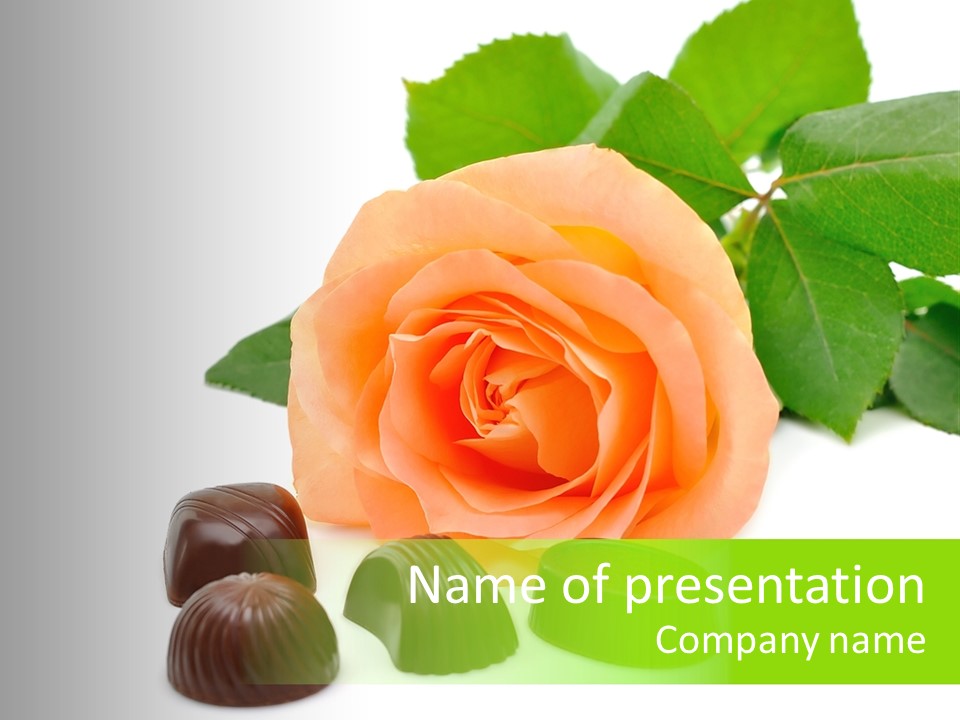 Color Flowers Day PowerPoint Template