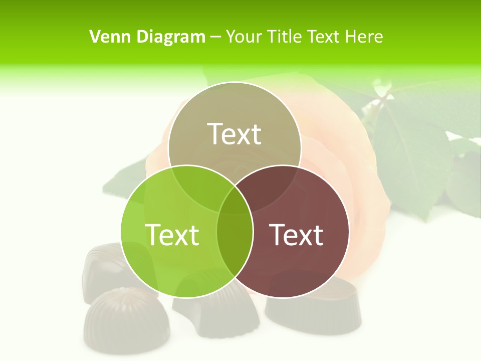 Color Flowers Day PowerPoint Template