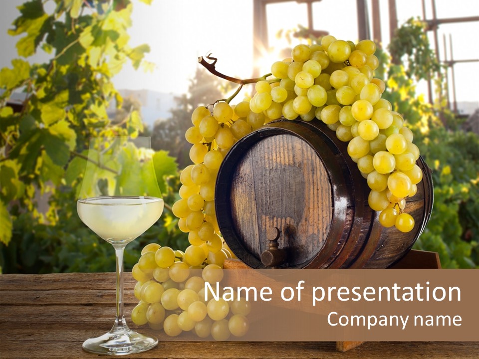 Alcolica Vino Odore PowerPoint Template