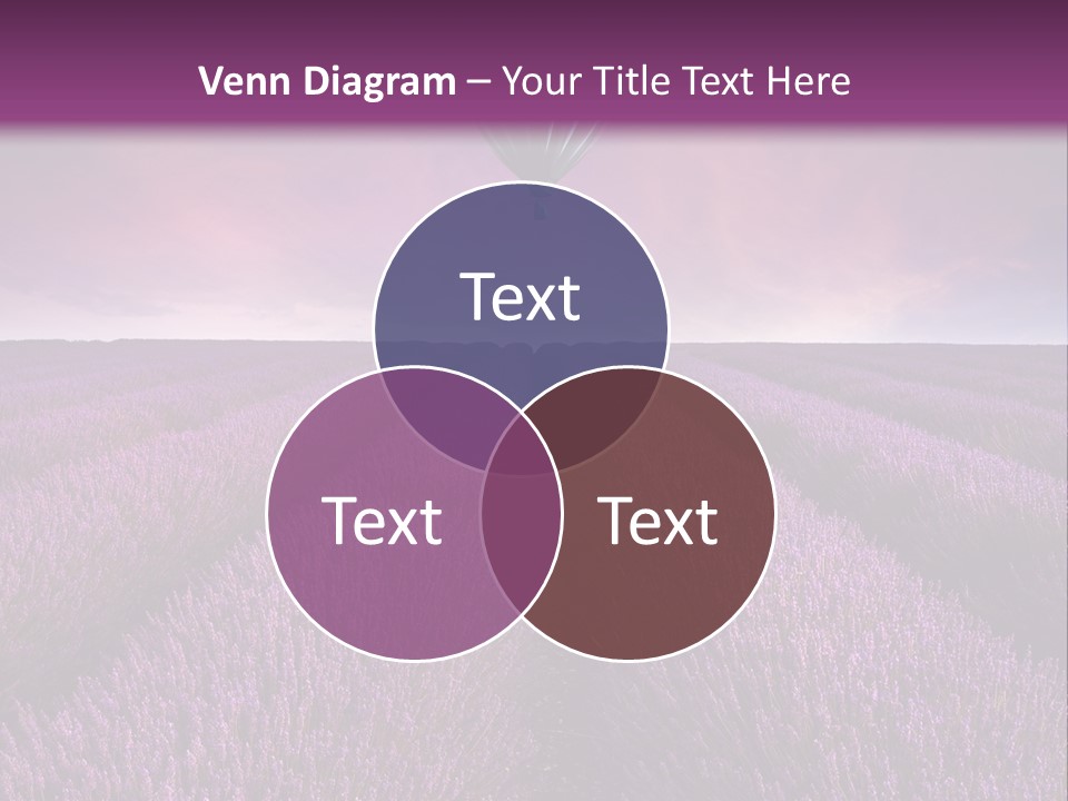 Vibrant Flying Hot Air Balloon PowerPoint Template