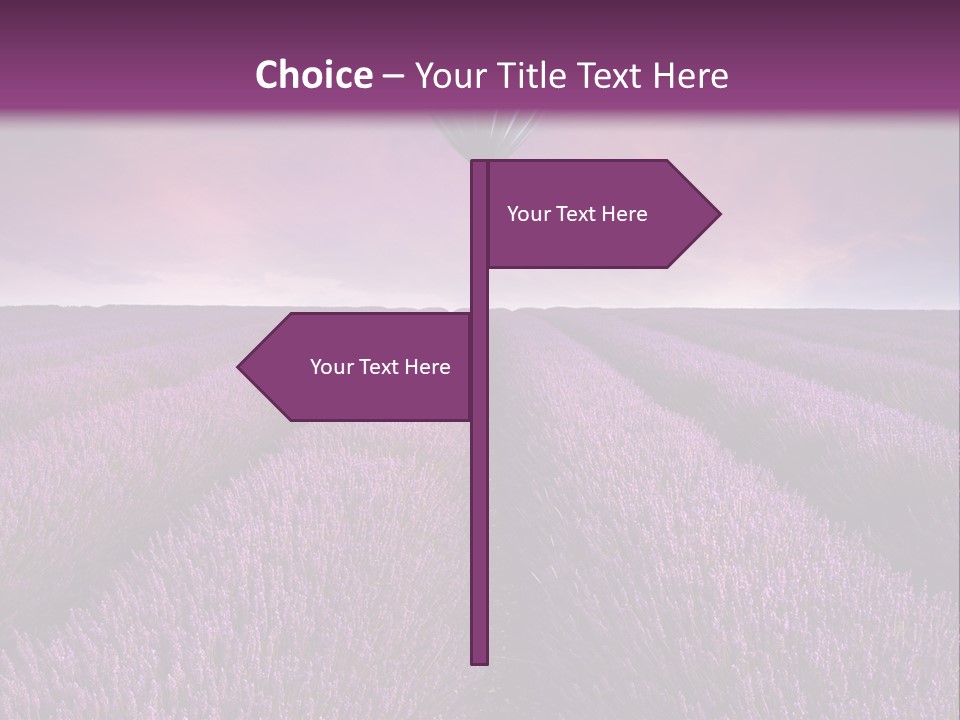 Vibrant Flying Hot Air Balloon PowerPoint Template