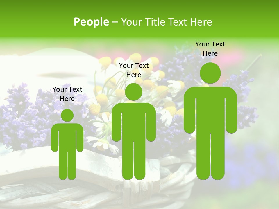 Ernte Dekoration Nat PowerPoint Template