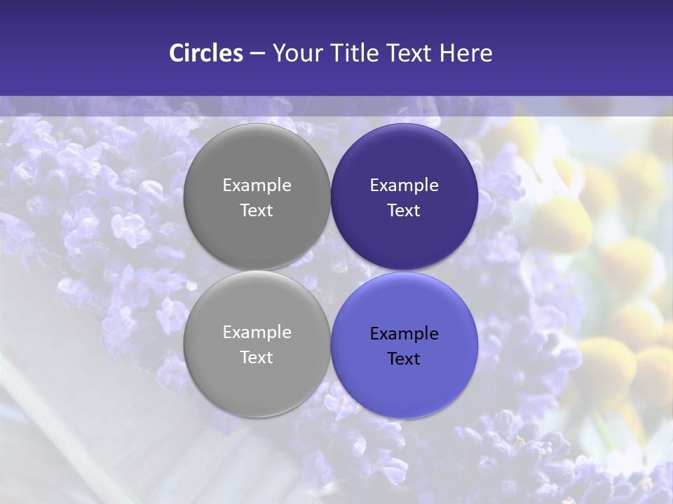 Nat Medizin Geruch PowerPoint Template