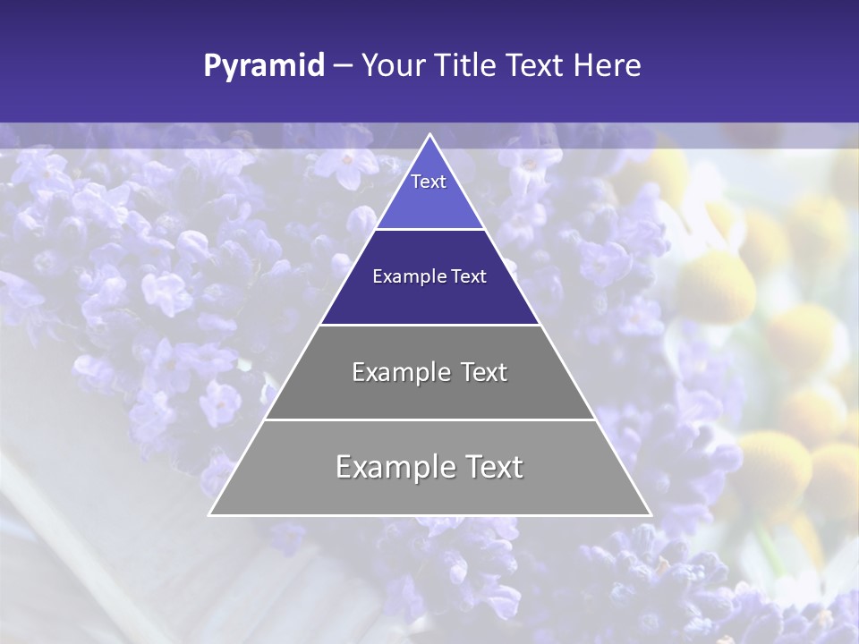 Nat Medizin Geruch PowerPoint Template