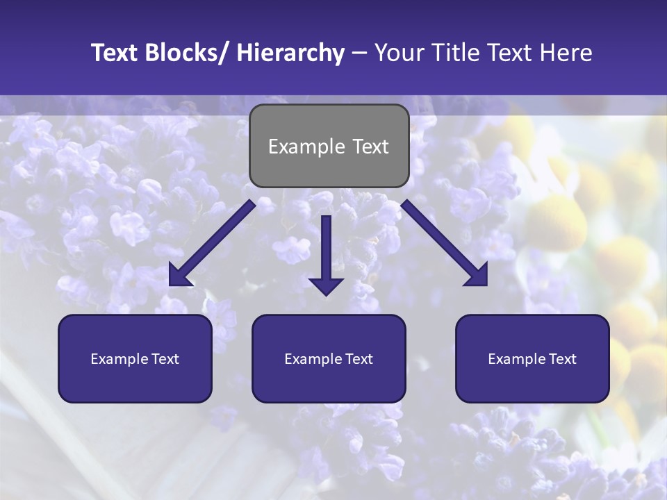 Nat Medizin Geruch PowerPoint Template