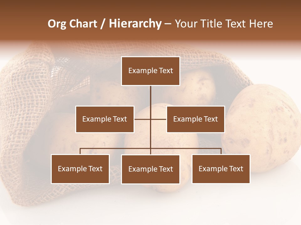 Isolated Vegetables Nobody PowerPoint Template