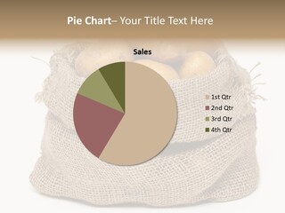 Vegetables Produce Sack PowerPoint Template