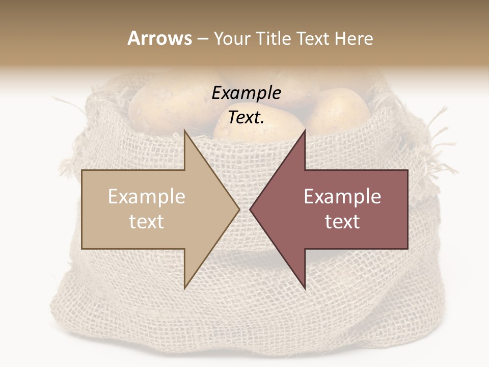 Vegetables Produce Sack PowerPoint Template