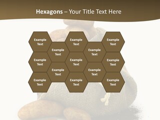 White Potato Farm PowerPoint Template