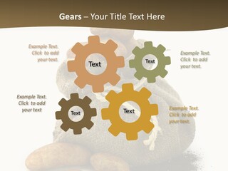 White Potato Farm PowerPoint Template