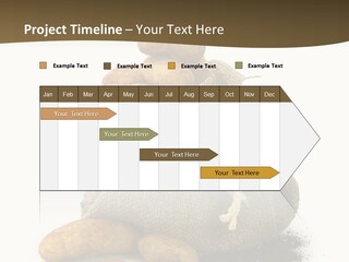 White Potato Farm PowerPoint Template