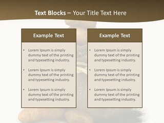 White Potato Farm PowerPoint Template