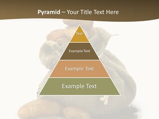 White Potato Farm PowerPoint Template