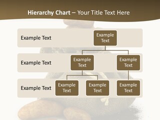 White Potato Farm PowerPoint Template