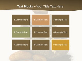 White Potato Farm PowerPoint Template