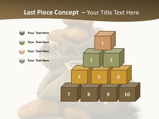 White Potato Farm PowerPoint Template