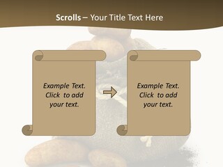 White Potato Farm PowerPoint Template