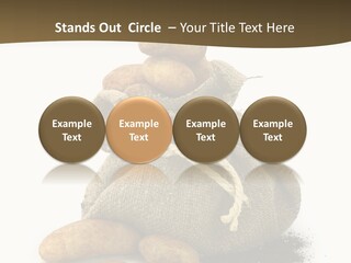 White Potato Farm PowerPoint Template