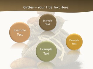White Potato Farm PowerPoint Template