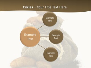 White Potato Farm PowerPoint Template