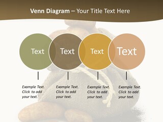 White Potato Farm PowerPoint Template