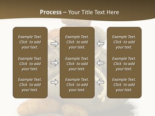 White Potato Farm PowerPoint Template