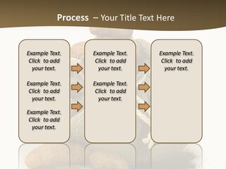 White Potato Farm PowerPoint Template