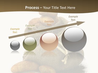 White Potato Farm PowerPoint Template