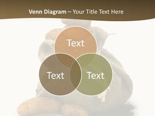 White Potato Farm PowerPoint Template