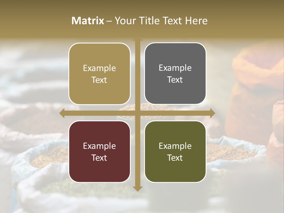 Africa Bazaar Cook PowerPoint Template