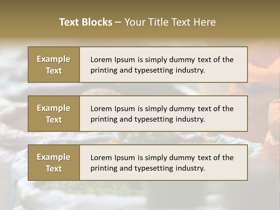 Africa Bazaar Cook PowerPoint Template