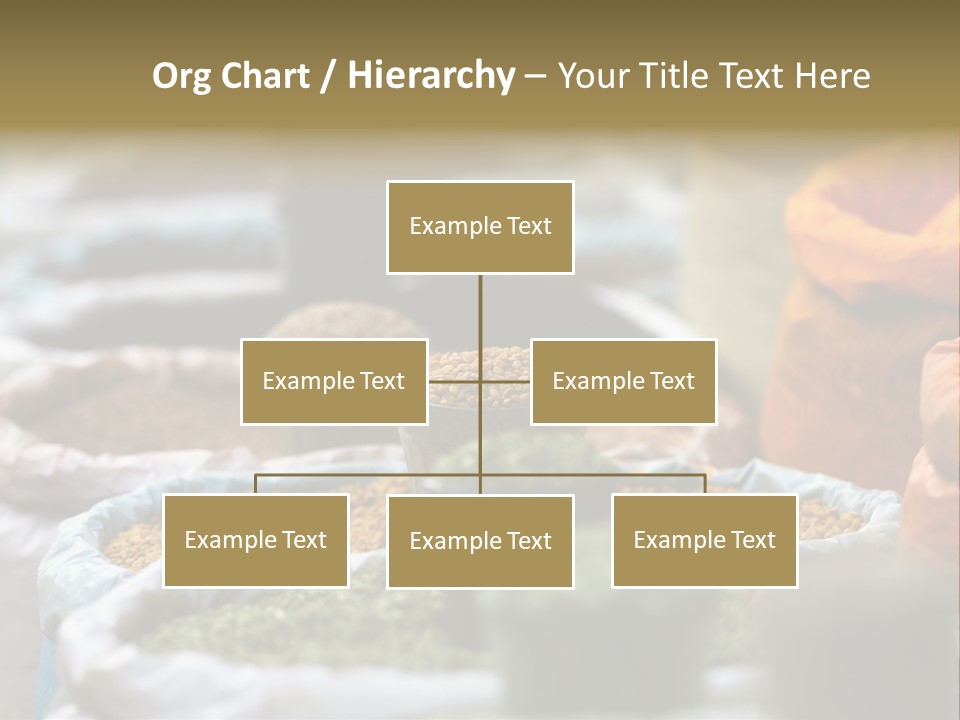 Africa Bazaar Cook PowerPoint Template