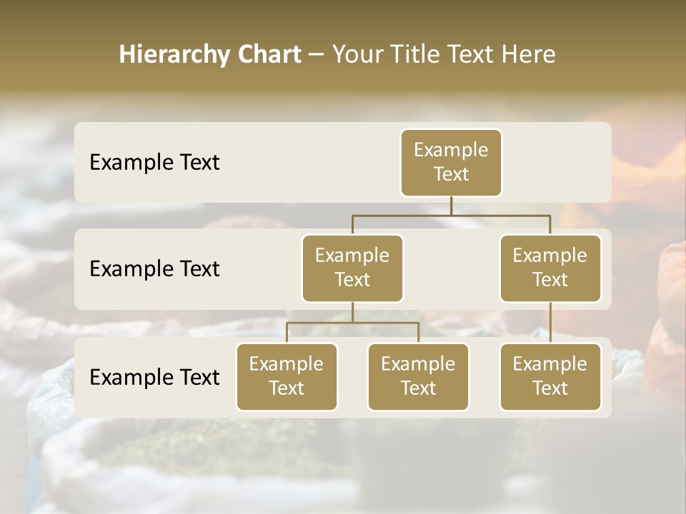 Africa Bazaar Cook PowerPoint Template
